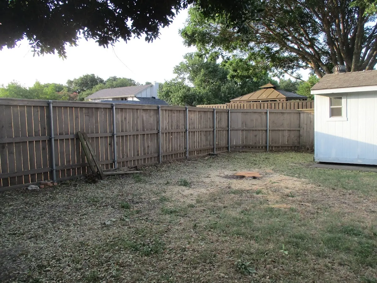 Cleared yard after professional tree removal in Brentford